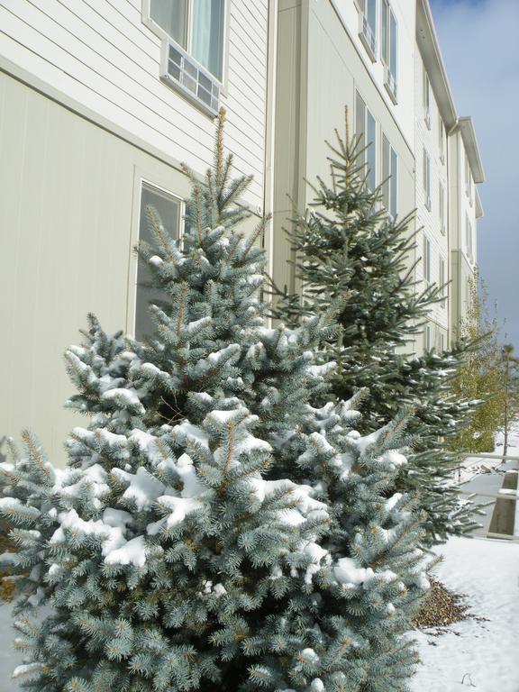 Bakken Airport Xwa Hotel & Studios Уиллистон Экстерьер фото